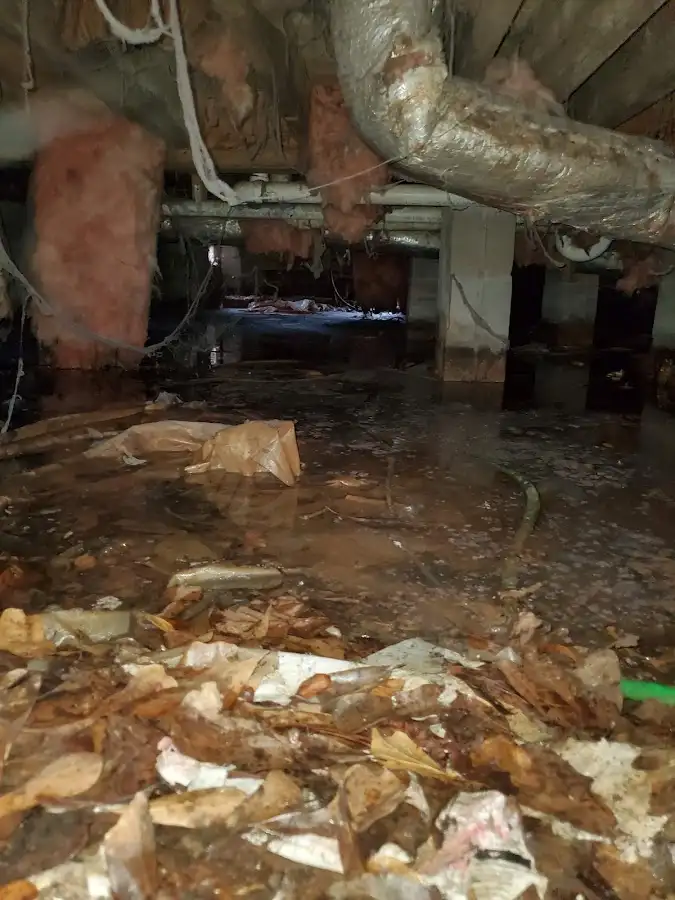 Crawl space flood assessment for Leak Detection & Repair in Bulverde