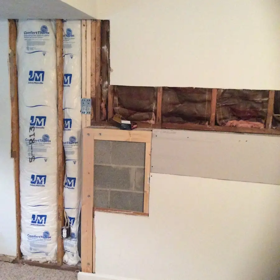 Wall insulation replacement during Odor Removal & Deodorization in Bulverde